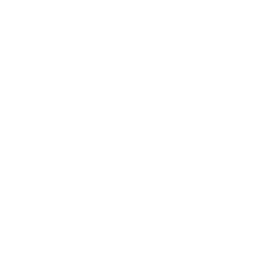 The Ve mark
